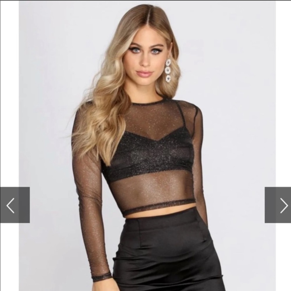 Windsor Glitter Mesh Crop Top